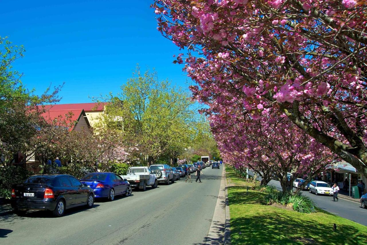 Lavender Cottage Leura Zewnętrze zdjęcie